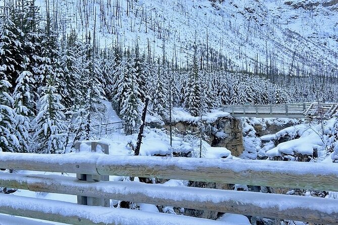 Winter 5 Days- Banff, Yoho, Icefields, Canyon & Gondola - Day five: six unhurried hours in Banff