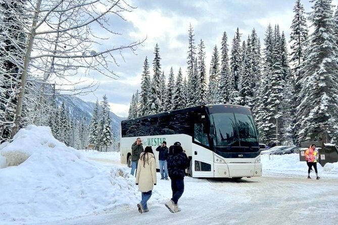 Winter Trip: Lake Louise, Marble Canyon, Emerald Lake, Banff - Emerald Lake in a short, scenic pause