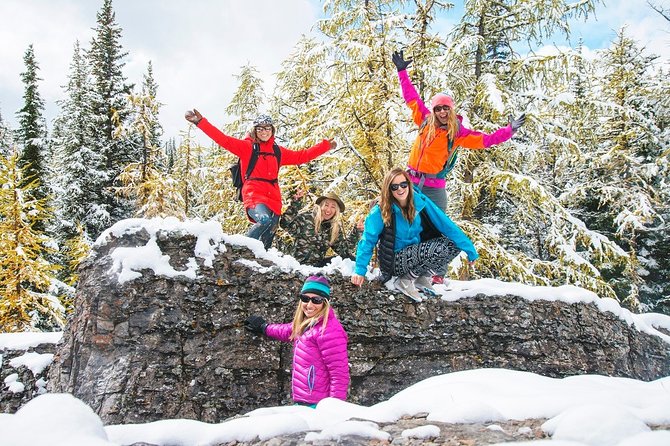 Winter Wildlife Discovery Tour - Comfort, access, and value at $67.95
