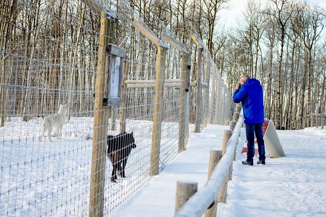 Yamnuska Wolfdog Sanctuary Walk Ticket in Canada - Is the ticket worth $29.27?