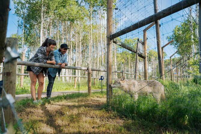 Yamnuska Wolfdog Sanctuary Walk Ticket in Canada - Planning your timing and arrival