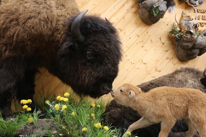 Yellowknife City Tour + Nature's North Wildlife Gallery - Yellowknife Visitor Centre and a small local memento