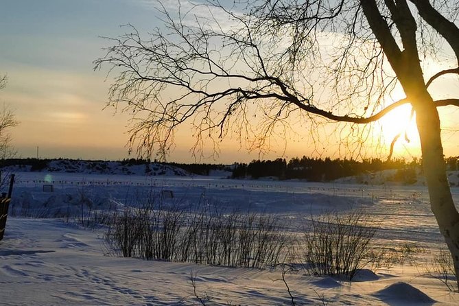 Yellowknife City Tour + Nature's North Wildlife Gallery - Old Town, N’dilo, and the roots of Yellowknife