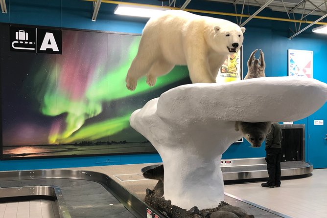 Yellowknife City Tour + Nature's North Wildlife Gallery - Nature’s North Wildlife Gallery