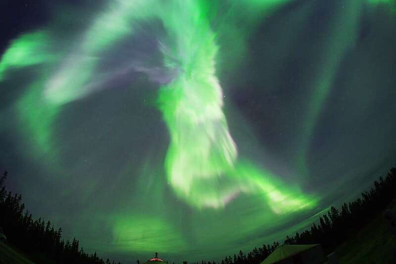 Yukon: Aurora Borealis Late Night Viewing Tour - Book it for comfort, not certainty