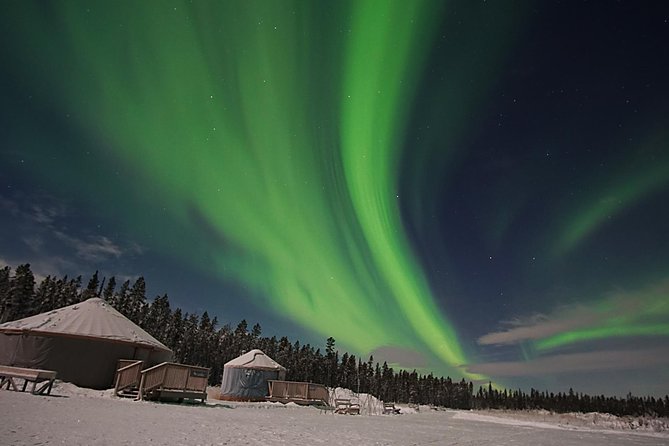 Yukon Aurora Viewing Package | 4 days - The free afternoon: choose your own Yukon activity