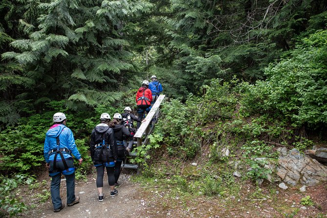 Zipline Adventure in Whistler - Starting at Carleton Lodge in Whistler Village