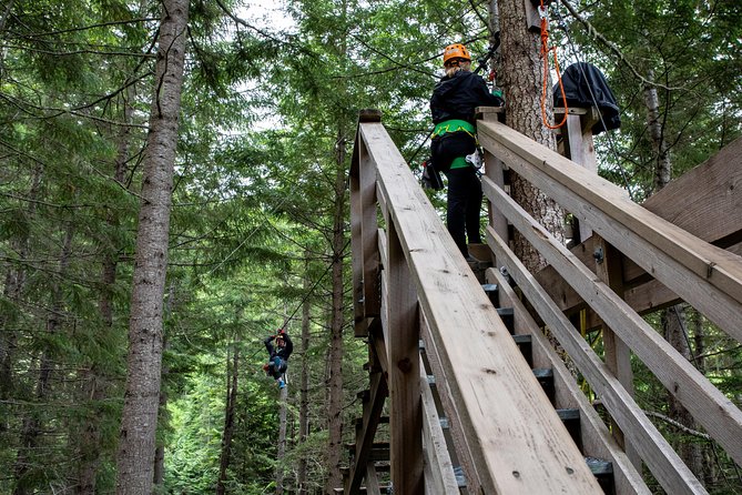 Zipline Adventure in Whistler - Winter changes the mood, not the basic format