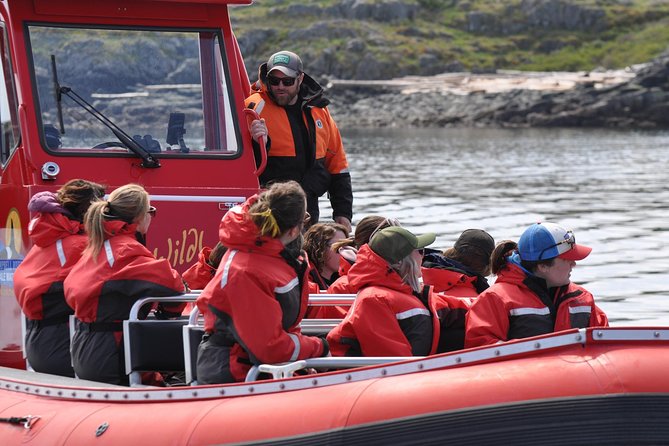 Zodiac Boat Whale and Wildlife 6-Hour Tour from Campbell River - Is the $251.72 price good value?