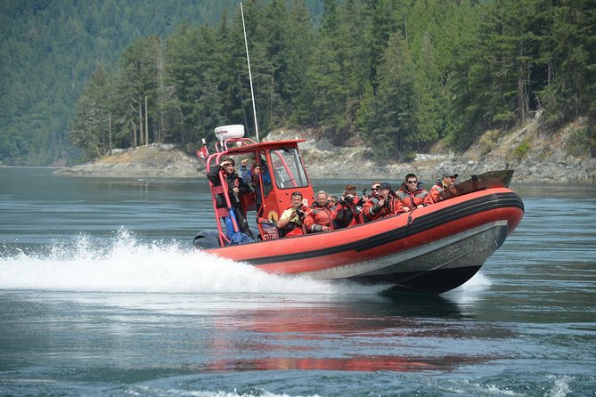 Zodiac Boat Whale and Wildlife 7-8-Hour Tour from Campbell River - Why the full-day Zodiac format matters