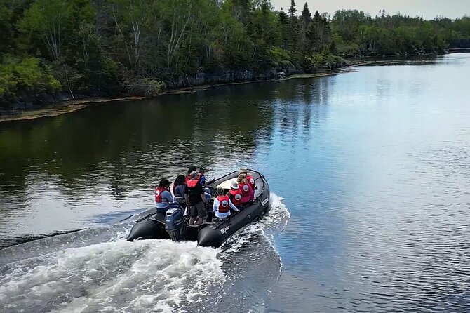 Zodiac Coastal Tour with Naturalist Guide: Lunenburg - At a glance: what makes this Zodiac trip special