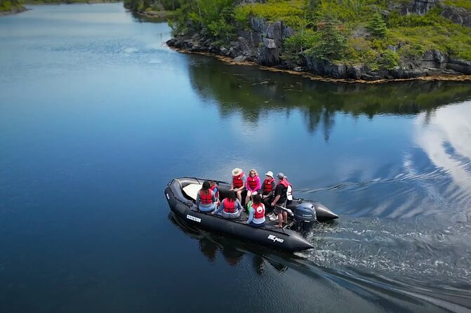 Zodiac Coastal Tour with Naturalist Guide: Lunenburg - Jason and Deb make the coast easy to understand
